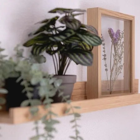 De Koekoek I Modern En Vrijstaand In Het Bos 펜션