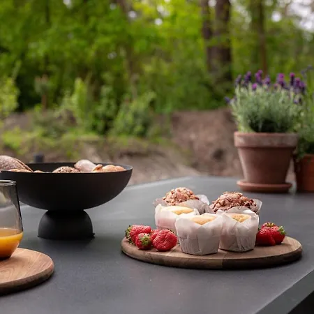 De Koekoek I Modern En Vrijstaand In Het Bos 펜션 넌스피트