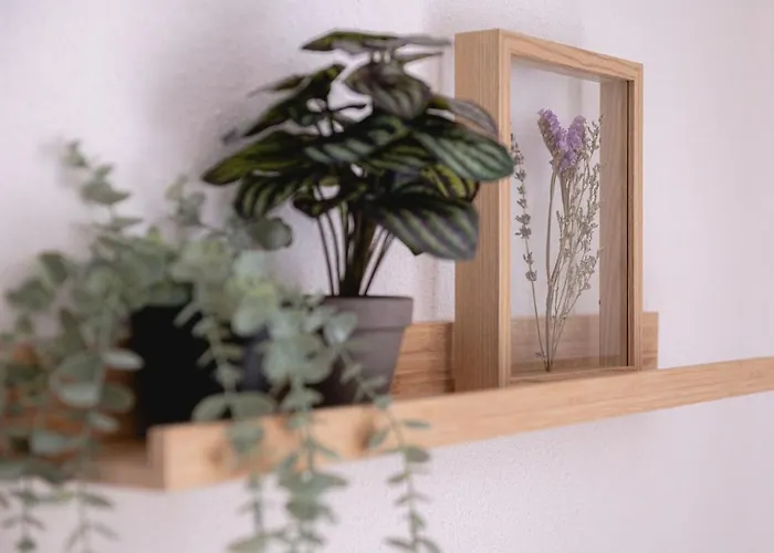 De Koekoek I Modern En Vrijstaand In Het Bos Сasa de vacaciones