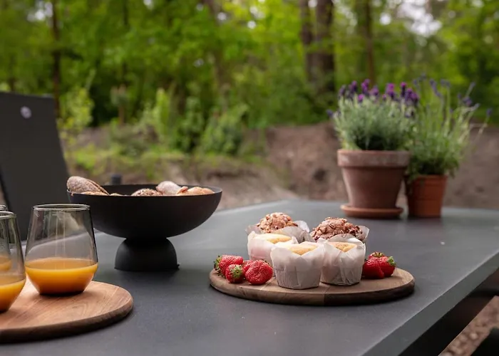 De Koekoek I Modern En Vrijstaand In Het Bos Сasa de vacaciones Nunspeet